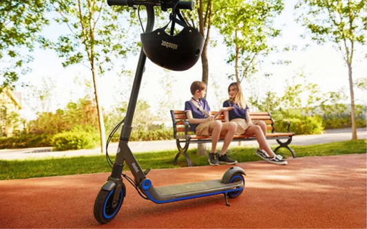 What is the top 3 of segway electric scooter in Canada?